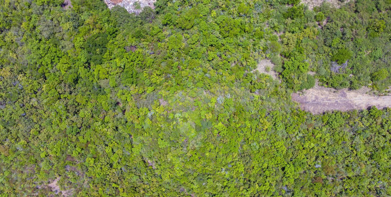 Round Hill Land For Sale 5.0 Acres